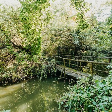 Forest House Palić Eksteriør billede