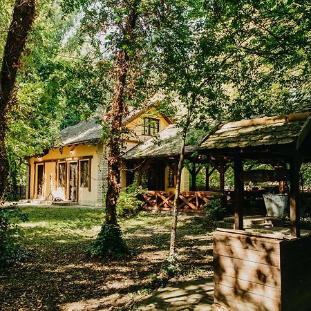 Forest House Palić Eksteriør billede