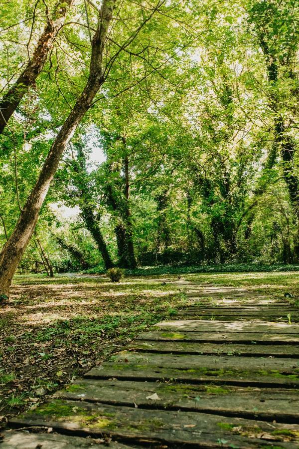Forest House Palić Eksteriør billede