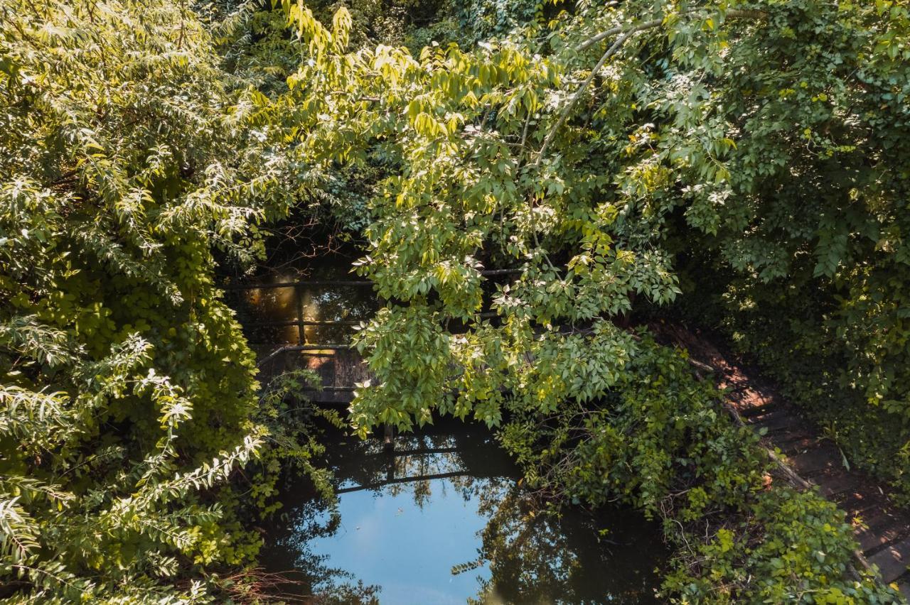 Forest House Palić Eksteriør billede