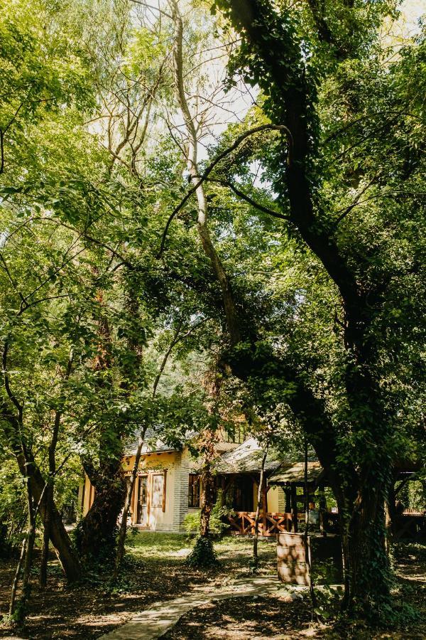 Forest House Palić Eksteriør billede