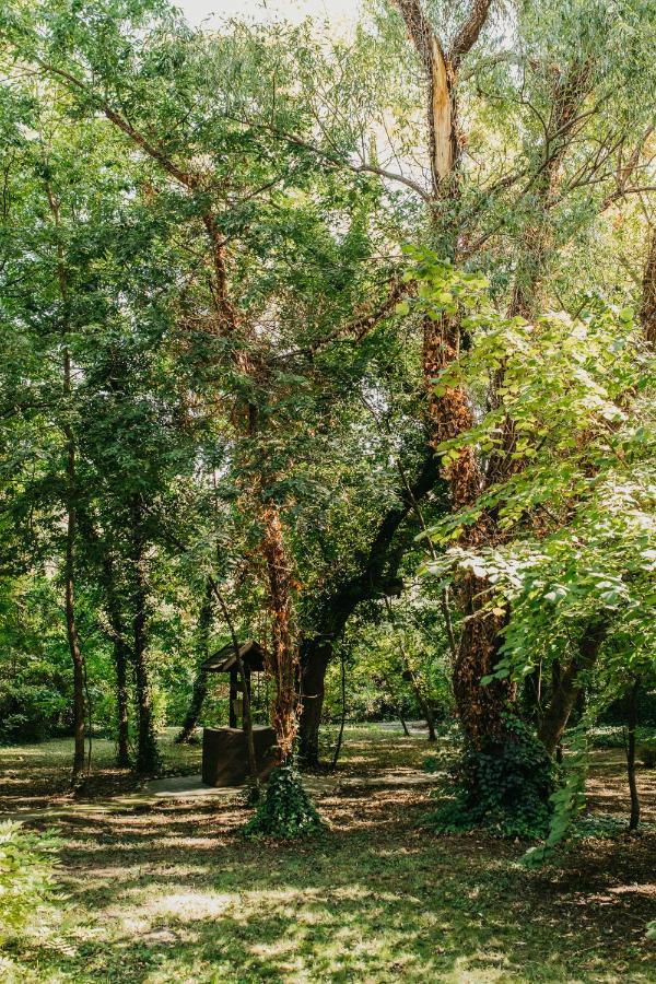 Forest House Palić Eksteriør billede